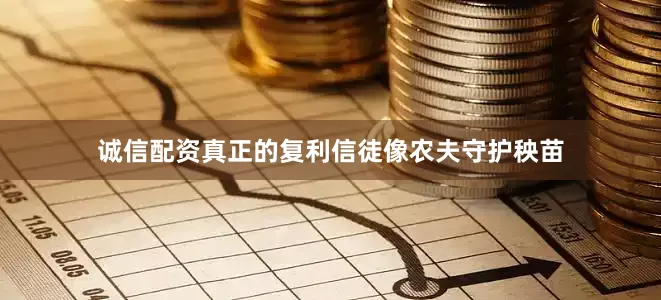 诚信配资真正的复利信徒像农夫守护秧苗