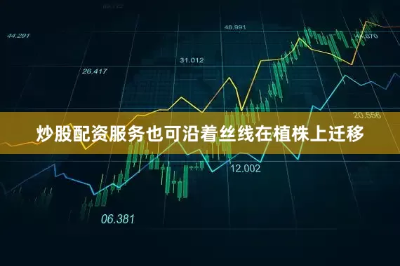 炒股配资服务也可沿着丝线在植株上迁移