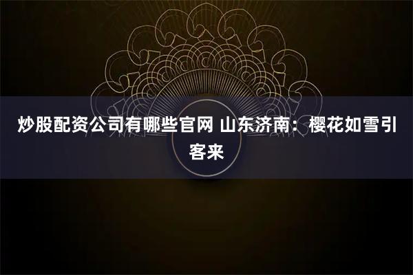 炒股配资公司有哪些官网 山东济南：樱花如雪引客来