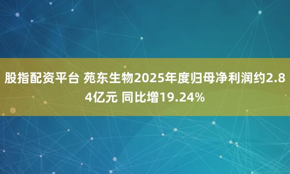 股指配资平台 苑东生物2025年度归母净利润约2.84亿元 同比增19.24%