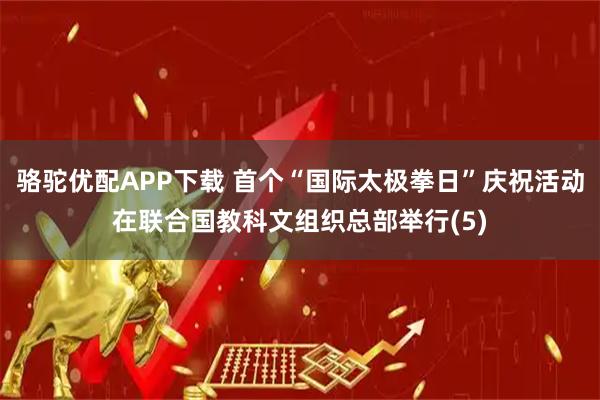 骆驼优配APP下载 首个“国际太极拳日”庆祝活动在联合国教科文组织总部举行(5)